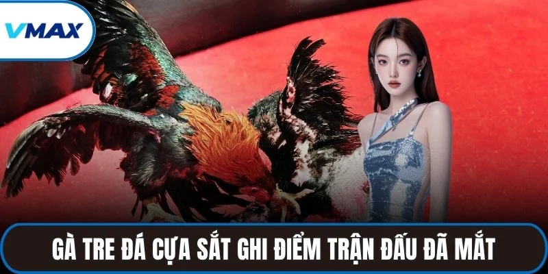 Gà tre đá cựa sắt ghi điểm trận đấu đã mắt