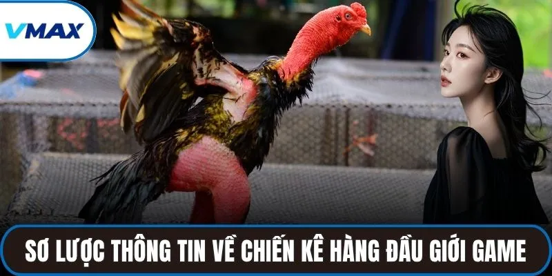 Sơ lược thông tin về giống chiến kê hàng đầu giới game